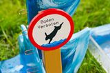 Kaninchenturnier: Auf die Pfoten, fertig, hopp! - Bild 10