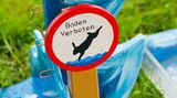 Kaninchenturnier: Auf die Pfoten, fertig, hopp! - Bild 10