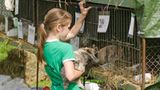 Kaninchenturnier: Auf die Pfoten, fertig, hopp! - Bild 13