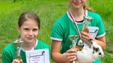 Kaninchenturnier: Auf die Pfoten, fertig, hopp! - Bild 14