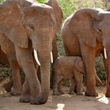 Fotogalerie: Naturerlebnisse aus der Reisecommunity - Bild 3