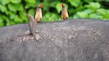 Fotogalerie: Naturerlebnisse aus der Reisecommunity - Bild 4