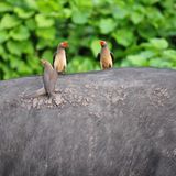 Fotogalerie: Naturerlebnisse aus der Reisecommunity - Bild 4