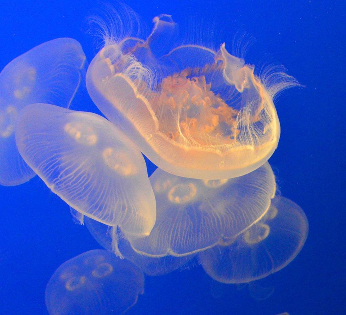 Fotogalerie: Naturerlebnisse aus der Reisecommunity - Bild 7