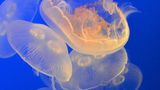 Fotogalerie: Naturerlebnisse aus der Reisecommunity - Bild 7
