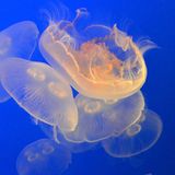 Fotogalerie: Naturerlebnisse aus der Reisecommunity - Bild 7