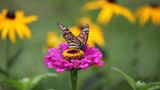 Fotogalerie: Naturerlebnisse aus der Reisecommunity - Bild 9