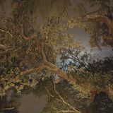 Fotogalerie: Wohnwagen in der Wildnis - Bild 4