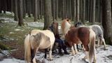 Fotogalerie: Winter in Tirol - Bild 5