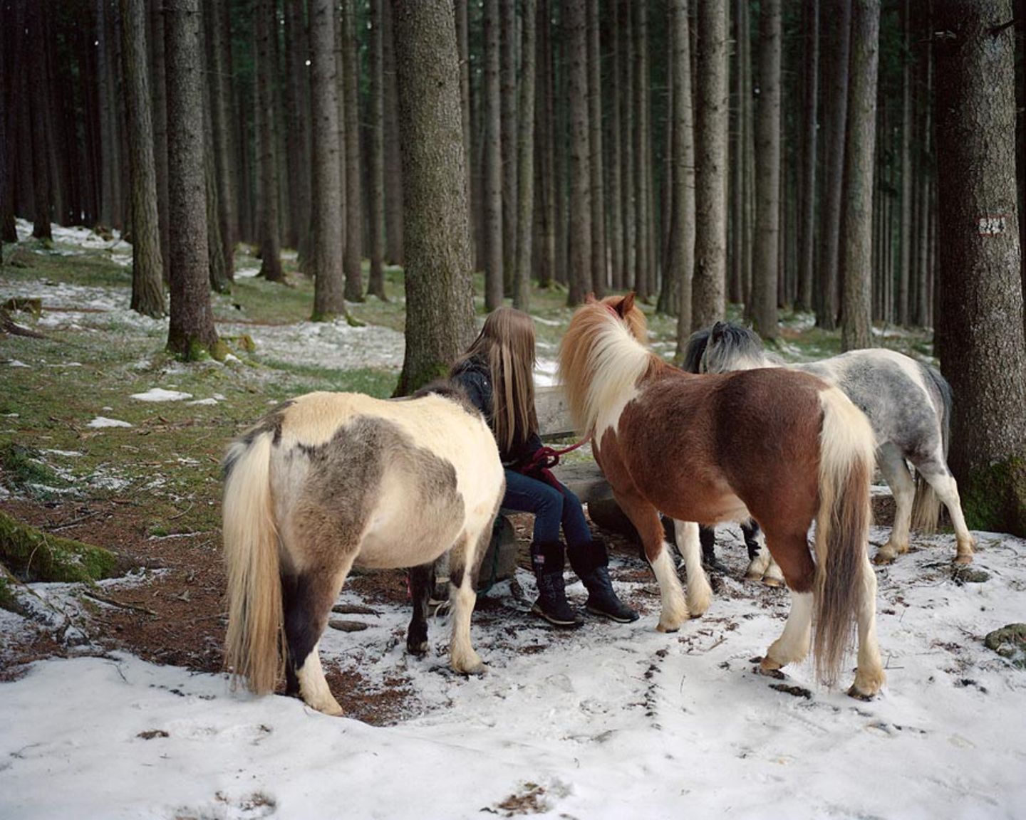 Fotogalerie: Winter in Tirol - Bild 5