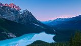Der Peyto See im Banff National Park in Alberta, Kanada