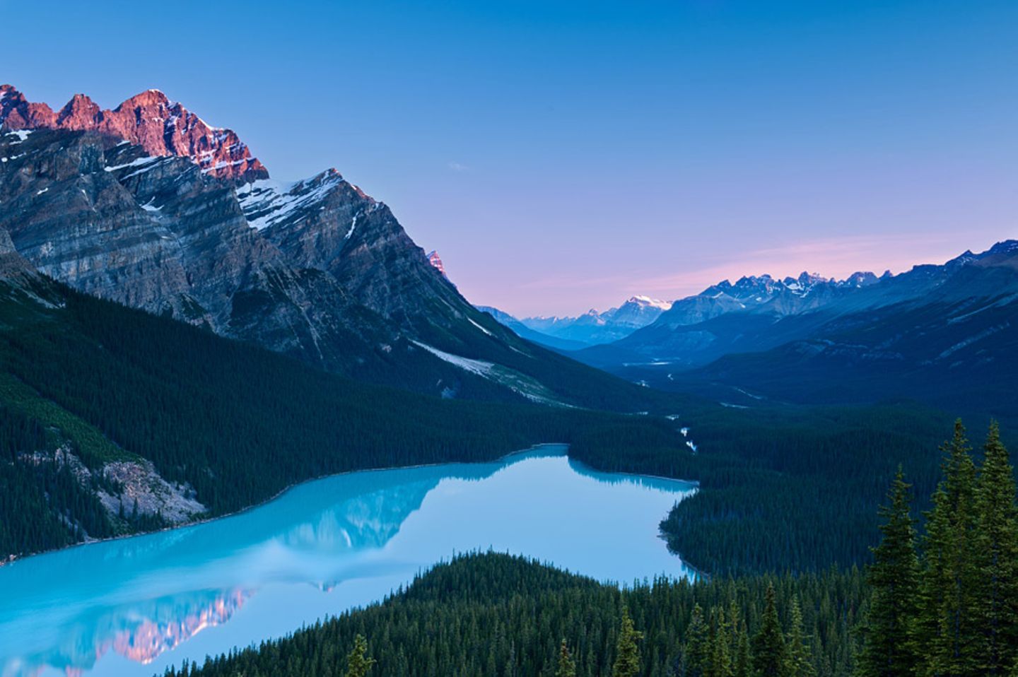 Der Peyto See im Banff National Park in Alberta, Kanada