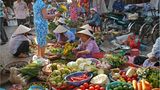 Gemüsemarkt in Hoi An, Vietnam