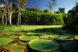 Brasilien