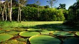 Brasilien
