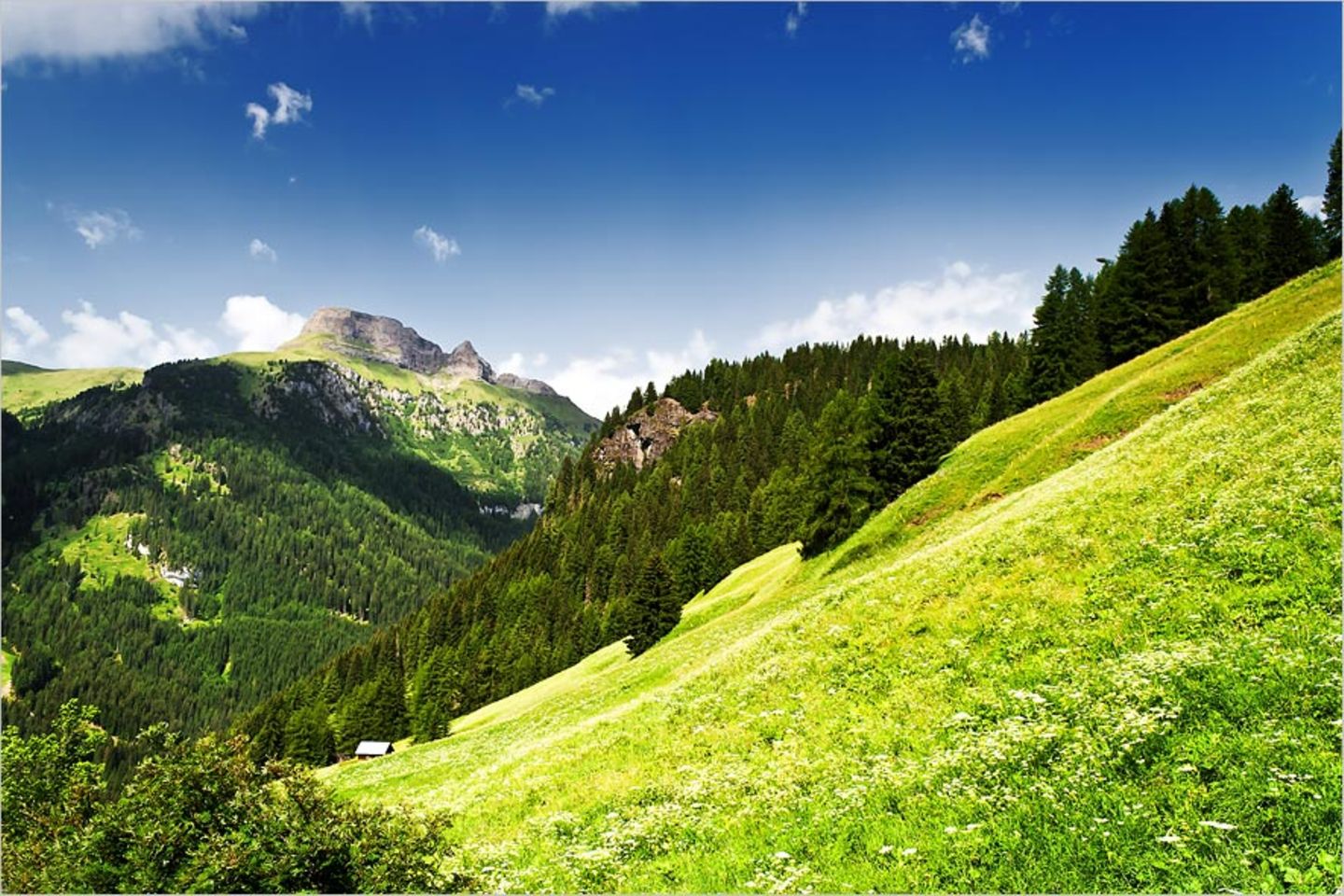Trentino