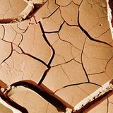 Fotogalerie: Mit dem Rad durch Australien - Bild 5