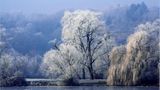 Winterstimmung