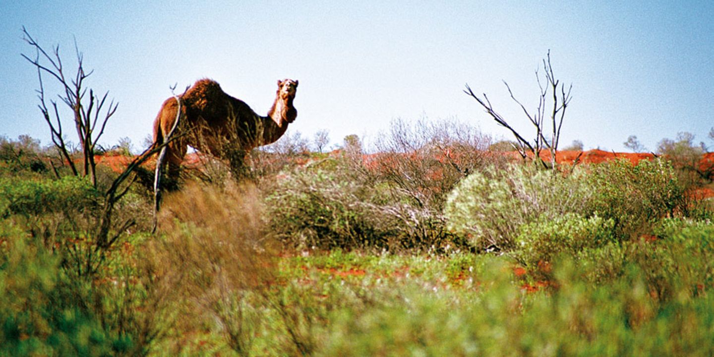 Fotogalerie: Mit dem Rad durch Australien - Bild 2