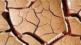 Fotogalerie: Mit dem Rad durch Australien - Bild 5