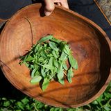 Fotogalerie: Zurück zu den Wurzeln - Bild 2