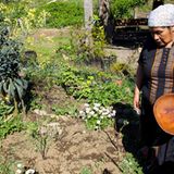 Fotogalerie: Zurück zu den Wurzeln - Bild 3