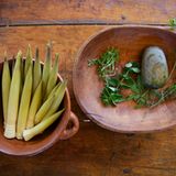 Fotogalerie: Zurück zu den Wurzeln - Bild 4