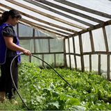 Fotogalerie: Zurück zu den Wurzeln - Bild 10