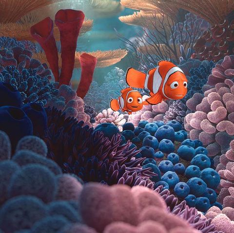 Kinotipp: Findet Nemo 3D
