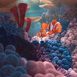 Kinotipp: Findet Nemo 3D