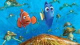 Kino: Kinotipp: Findet Nemo 3D - Bild 6