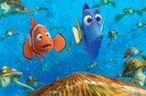 Kino: Kinotipp: Findet Nemo 3D - Bild 6