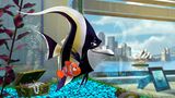 Kino: Kinotipp: Findet Nemo 3D - Bild 7