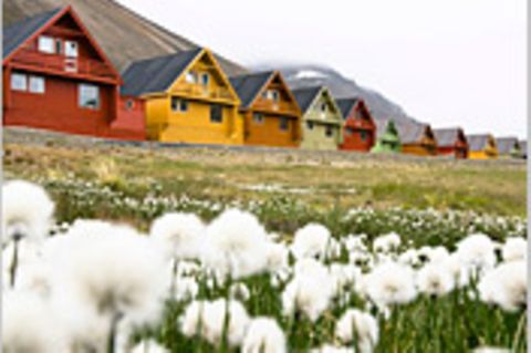 Fotogalerie: Schönheit des Nordens