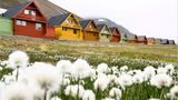 Fotogalerie: Schönheit des Nordens