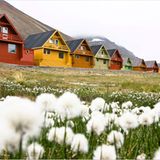 Fotogalerie: Schönheit des Nordens