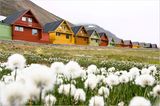 Fotogalerie: Schönheit des Nordens