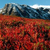 Fotogalerie: Schönheit des Nordens - Bild 6