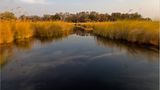 Moremi-Nationalpark, Botswana