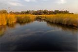 Moremi-Nationalpark, Botswana