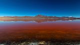 Laguna Colorada