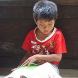 Menschenaffen: Orang-Utans in Not - Bild 15