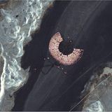 Traces of Humankind: Spuren der Menschheit sichtbar machen - Bild 7