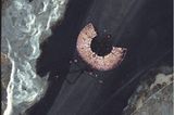 Traces of Humankind: Spuren der Menschheit sichtbar machen - Bild 7