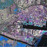 Traces of Humankind: Spuren der Menschheit sichtbar machen - Bild 9