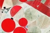 Traces of Humankind: Spuren der Menschheit sichtbar machen - Bild 11