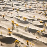 Fotogalerie: Kunstwerk Erde - Bild 6