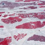 Fotogalerie: Kunstwerk Erde - Bild 7