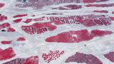 Fotogalerie: Kunstwerk Erde - Bild 7
