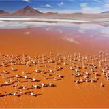 Fotogalerie: Kunstwerk Erde - Bild 9